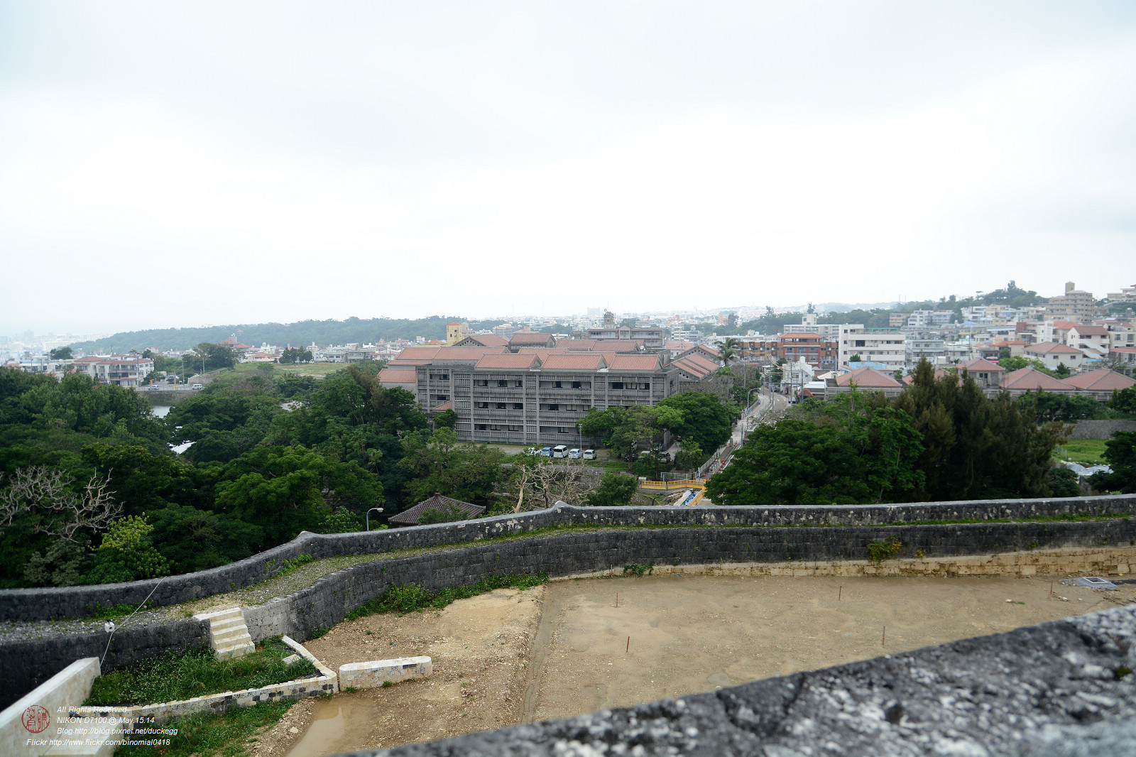 DSC_3253.jpg